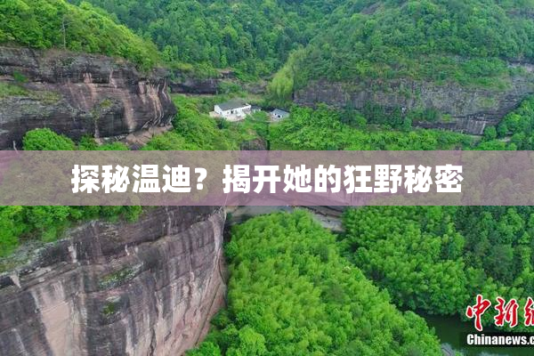 探秘温迪？揭开她的狂野秘密