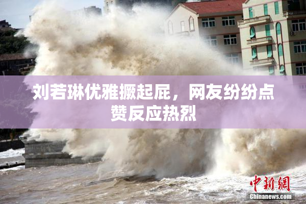 刘若琳优雅撅起屁，网友纷纷点赞反应热烈
