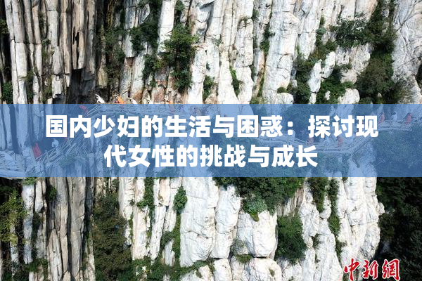 国内少妇的生活与困惑：探讨现代女性的挑战与成长