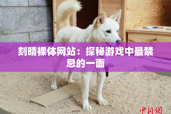 刻晴裸体网站：探秘游戏中最禁忌的一面
