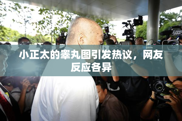 小正太的睾丸图引发热议，网友反应各异
