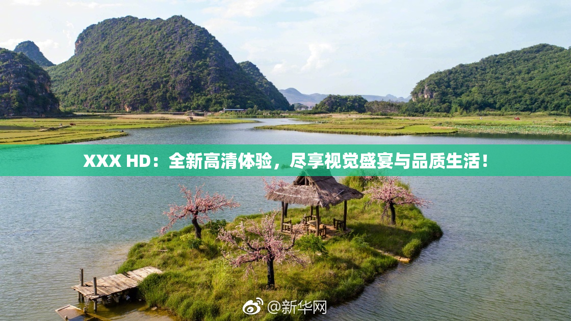 XXX HD：全新高清体验，尽享视觉盛宴与品质生活！