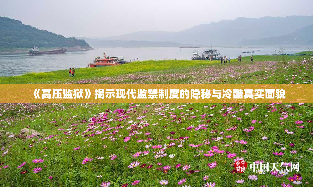 《高压监狱》揭示现代监禁制度的隐秘与冷酷真实面貌
