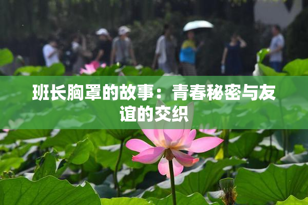 班长胸罩的故事：青春秘密与友谊的交织