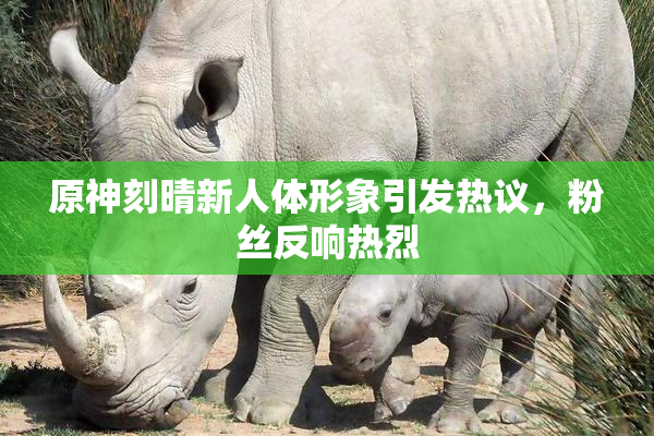 原神刻晴新人体形象引发热议，粉丝反响热烈