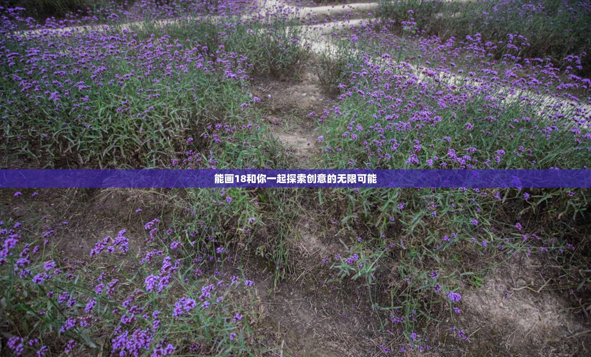 能画18和你一起探索创意的无限可能