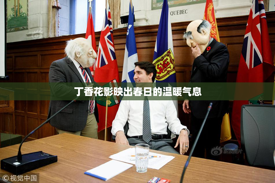 丁香花影映出春日的温暖气息