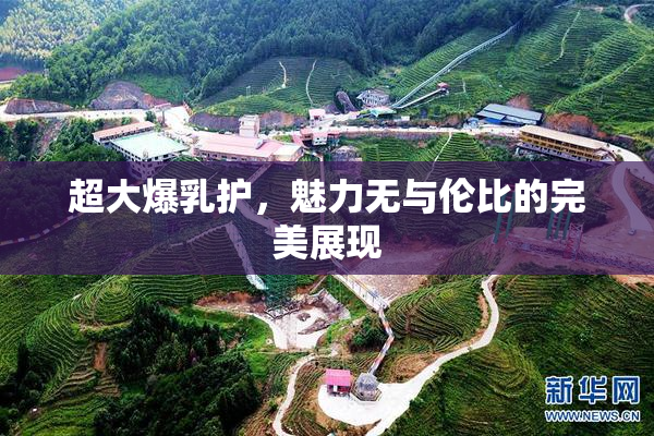 超大爆乳护，魅力无与伦比的完美展现