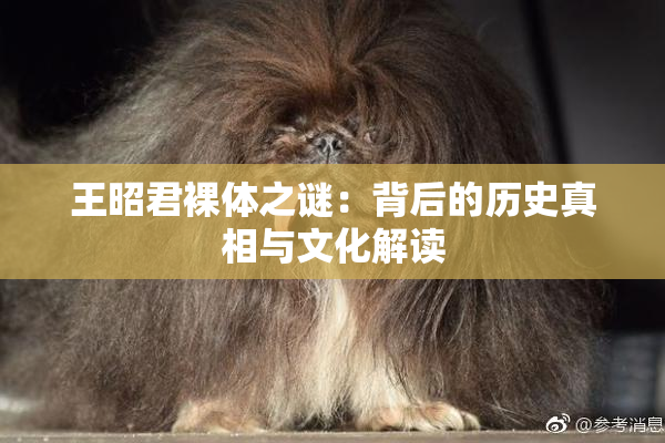 王昭君裸体之谜：背后的历史真相与文化解读