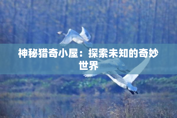 神秘猎奇小屋：探索未知的奇妙世界