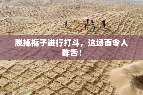 脱掉裤子进行打斗，这场面令人咋舌！