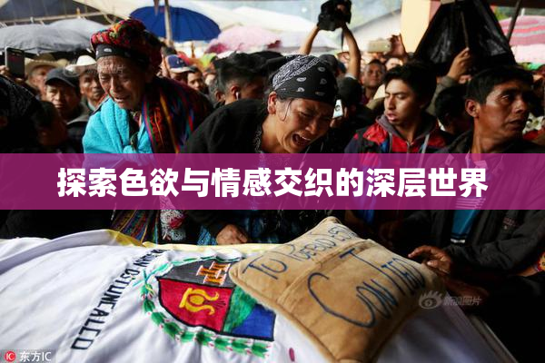 探索色欲与情感交织的深层世界