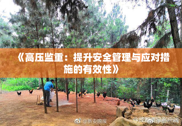 《高压监重：提升安全管理与应对措施的有效性》