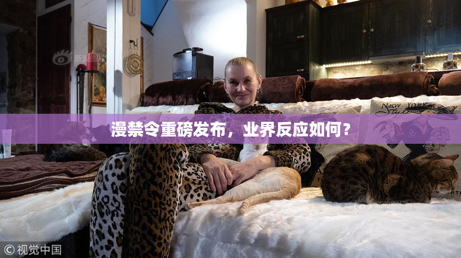 漫禁令重磅发布，业界反应如何？