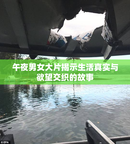 午夜男女大片揭示生活真实与欲望交织的故事