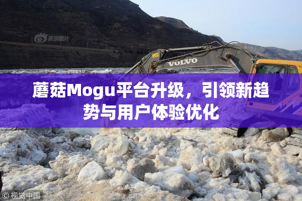蘑菇Mogu平台升级，引领新趋势与用户体验优化