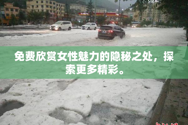 免费欣赏女性魅力的隐秘之处，探索更多精彩。