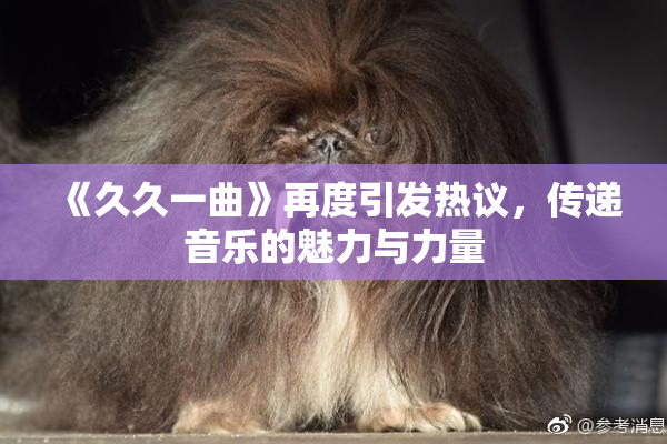 《久久一曲》再度引发热议，传递音乐的魅力与力量