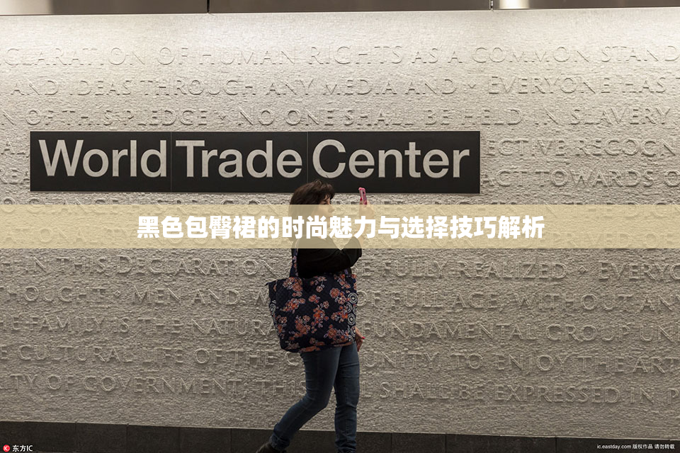 黑色包臀裙的时尚魅力与选择技巧解析