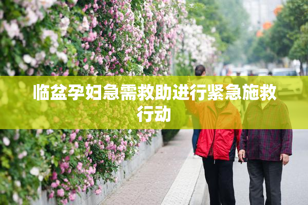 临盆孕妇急需救助进行紧急施救行动