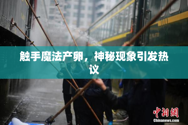 触手魔法产卵，神秘现象引发热议