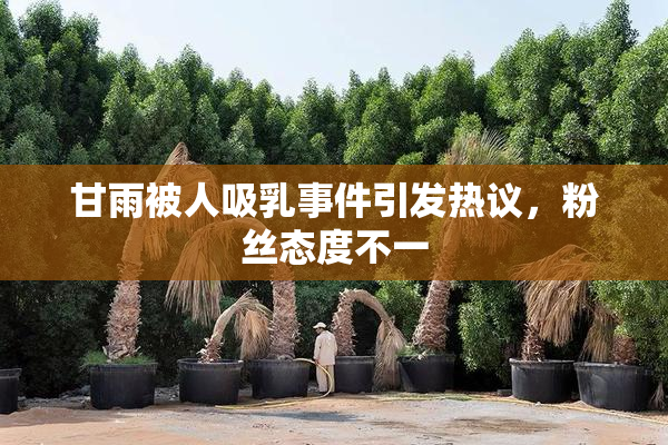 甘雨被人吸乳事件引发热议，粉丝态度不一
