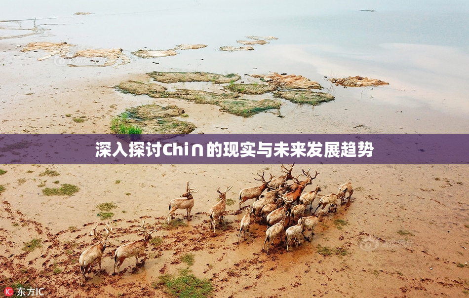 深入探讨Chi∩的现实与未来发展趋势