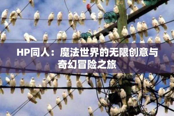 HP同人：魔法世界的无限创意与奇幻冒险之旅