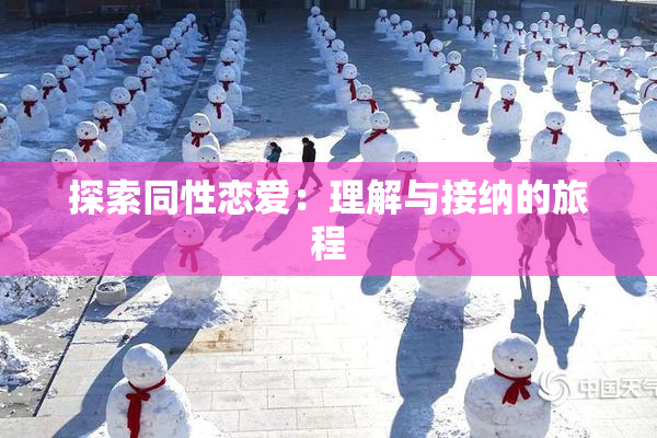 探索同性恋爱：理解与接纳的旅程