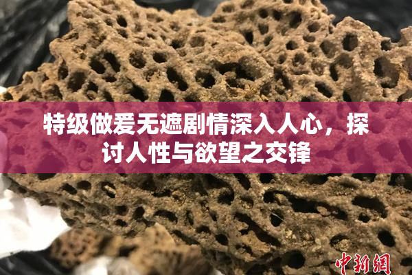 特级做爰无遮剧情深入人心，探讨人性与欲望之交锋