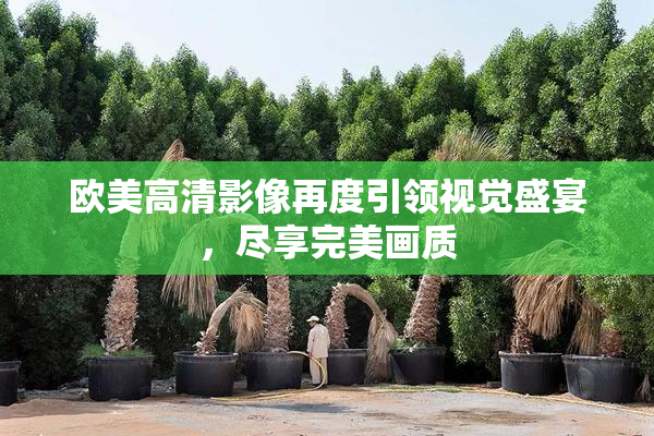 欧美高清影像再度引领视觉盛宴，尽享完美画质