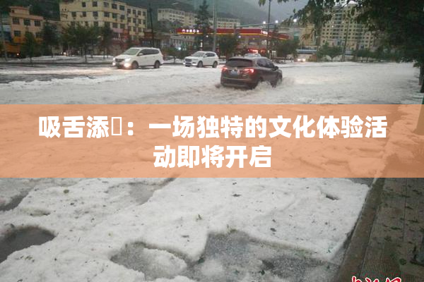 吸舌添泬：一场独特的文化体验活动即将开启