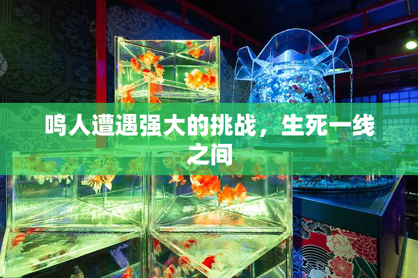 鸣人遭遇强大的挑战，生死一线之间