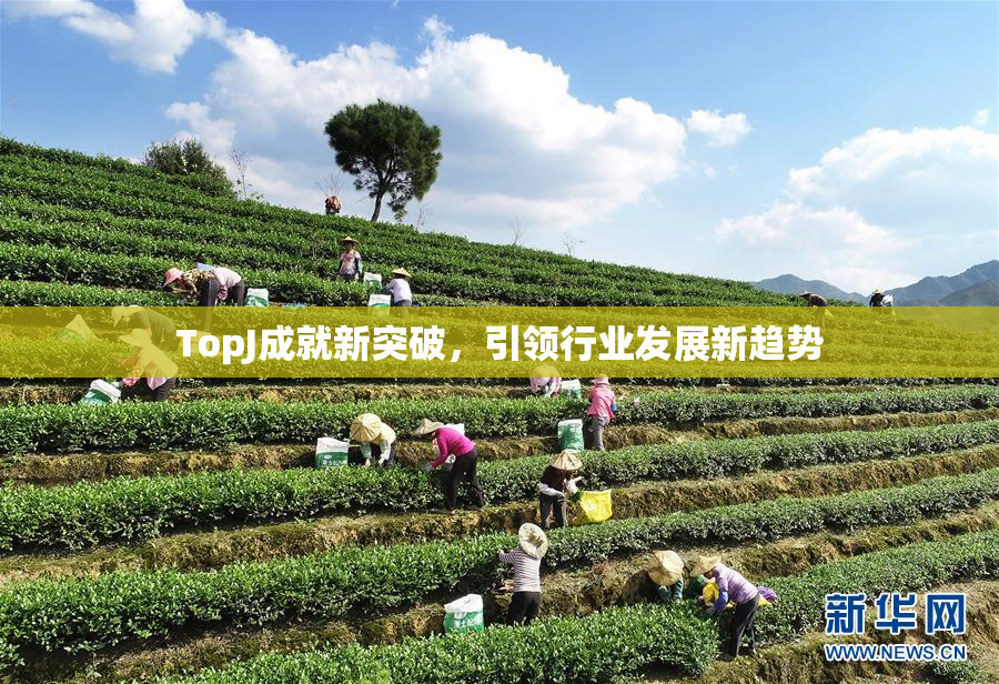 TopJ成就新突破，引领行业发展新趋势