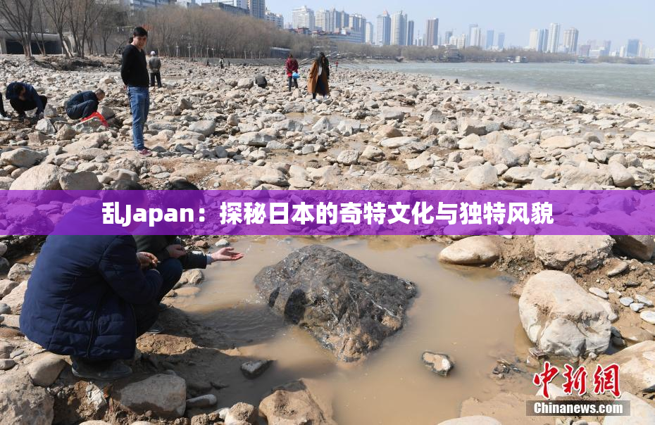 乱Japan：探秘日本的奇特文化与独特风貌