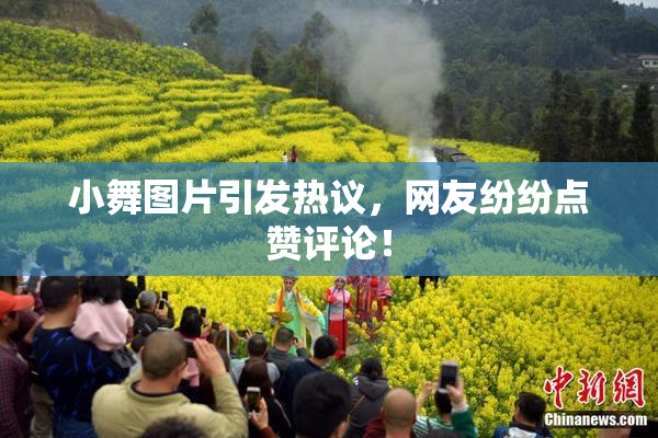 小舞图片引发热议，网友纷纷点赞评论！