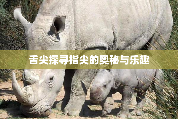 舌尖探寻指尖的奥秘与乐趣