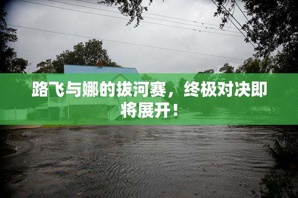 路飞与娜的拔河赛，终极对决即将展开！