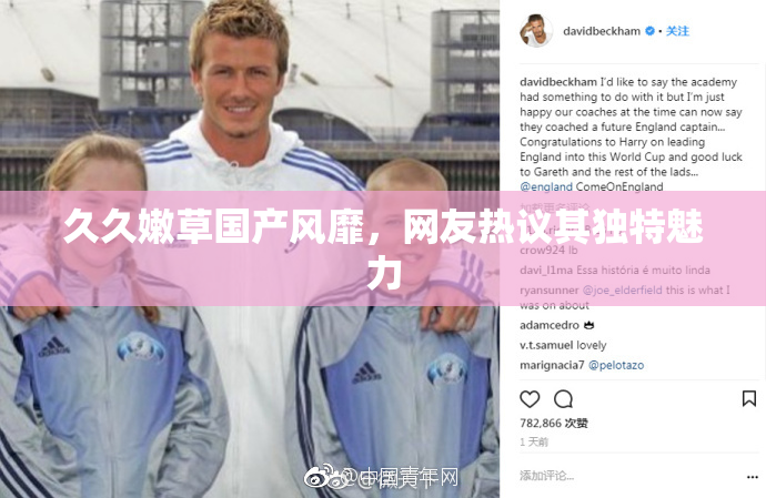 久久嫩草国产风靡，网友热议其独特魅力