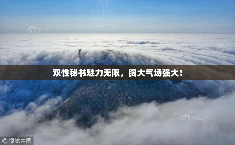 双性秘书魅力无限，胸大气场强大！