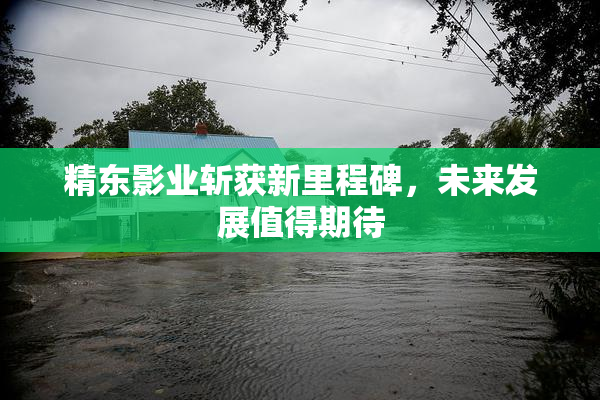 精东影业斩获新里程碑，未来发展值得期待