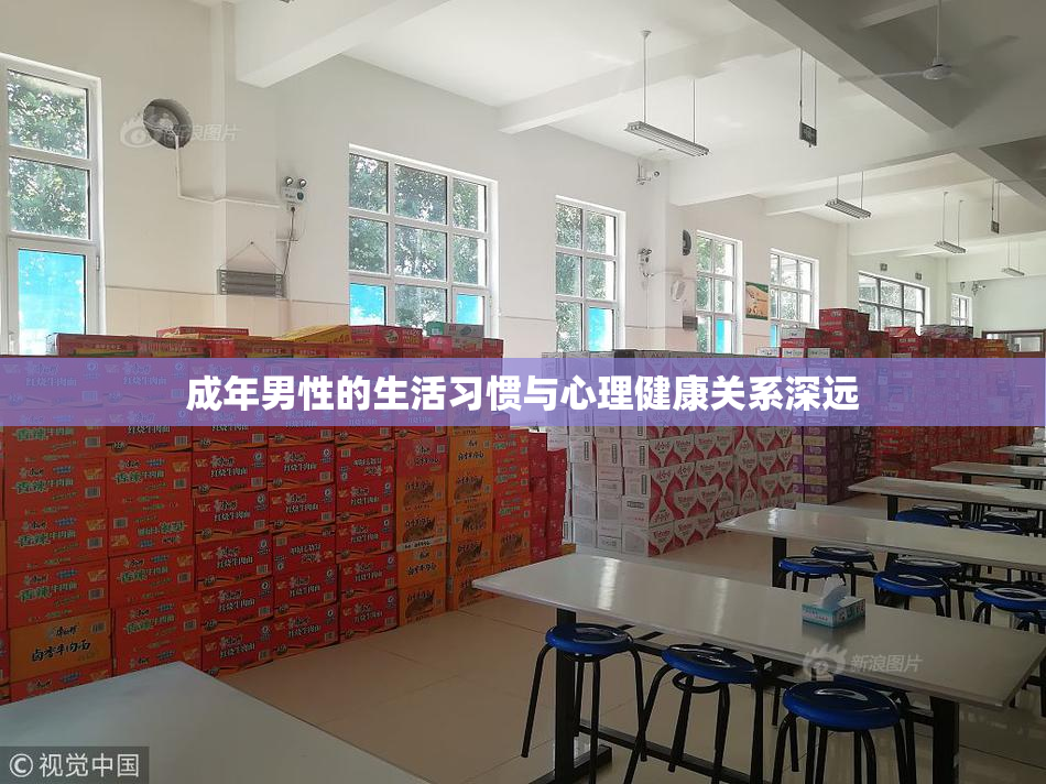 成年男性的生活习惯与心理健康关系深远
