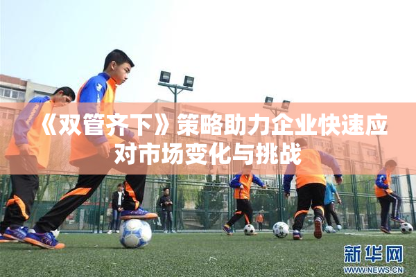《双管齐下》策略助力企业快速应对市场变化与挑战
