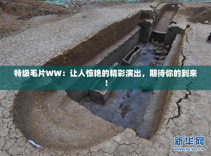 特级毛片WW：让人惊艳的精彩演出，期待你的到来！