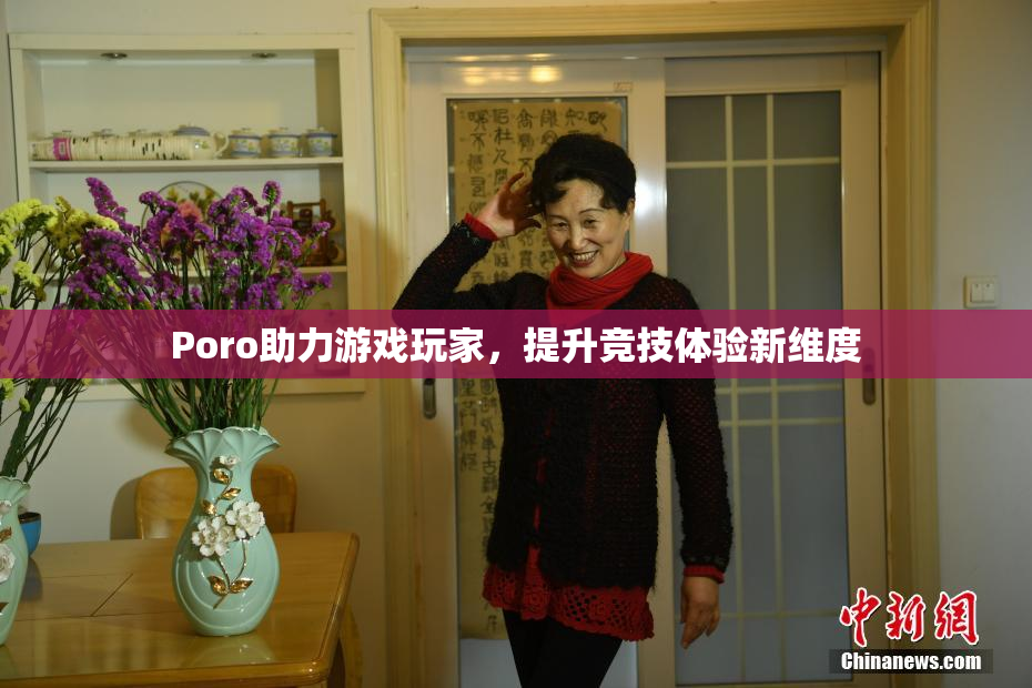 Poro助力游戏玩家，提升竞技体验新维度
