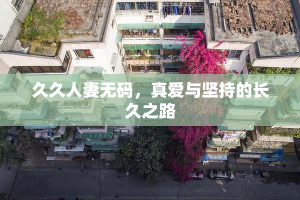 久久人妻无码，真爱与坚持的长久之路