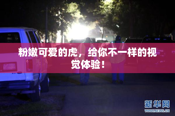 粉嫩可爱的虎，给你不一样的视觉体验！