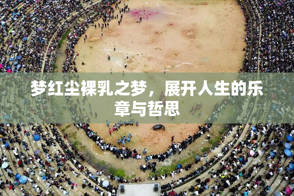 梦红尘裸乳之梦，展开人生的乐章与哲思