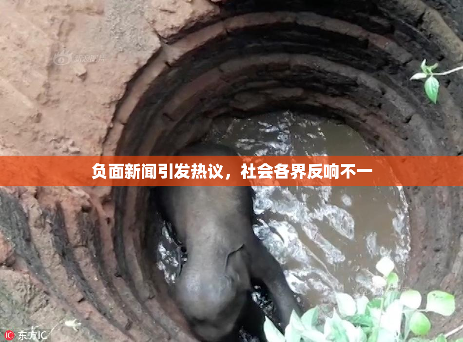 负面新闻引发热议，社会各界反响不一