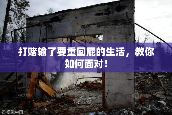 打赌输了要重回屁的生活，教你如何面对！